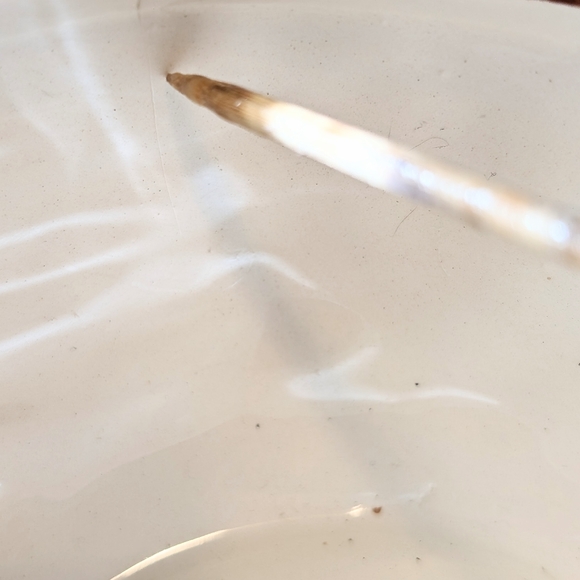 Better Homes and Gardens Owl planter bowl - Picture 8 of 10